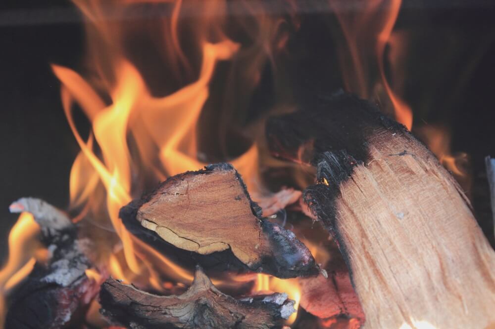 Open Fire or Wood Burner: Which One to Choose?